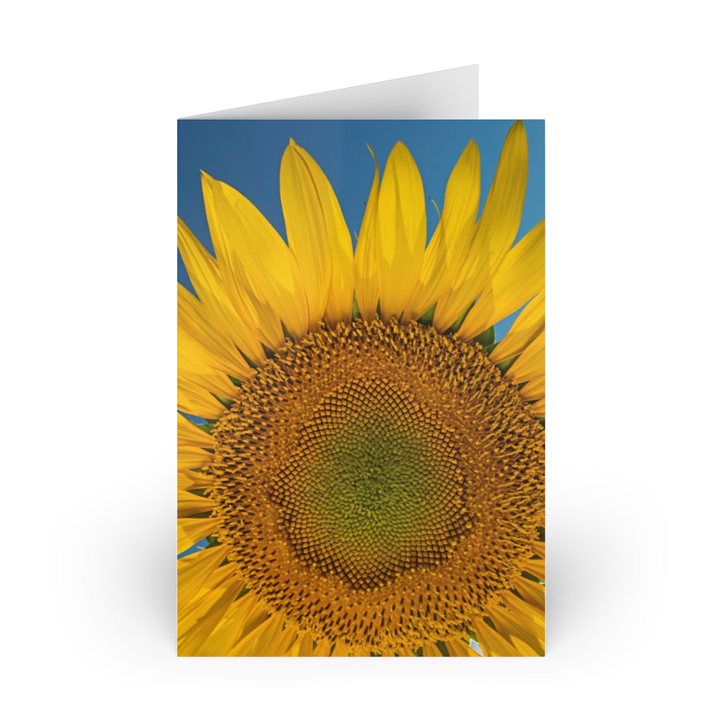 Sunflowers 11 - Greeting Card